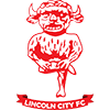 Lincoln City crest